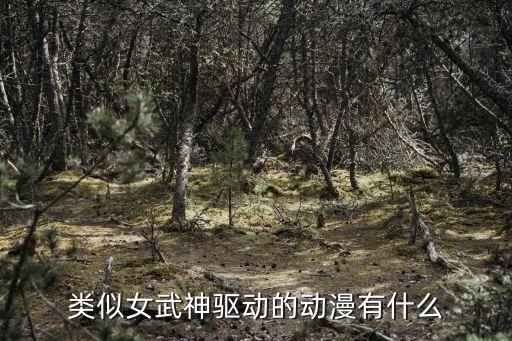 武神 機(jī)器人,武神大結(jié)局是什么?