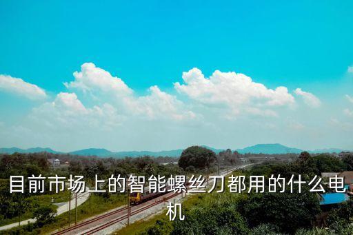 目前市場上的智能螺絲刀都用的什么電機