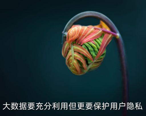 大數(shù)據(jù)下的計(jì)劃經(jīng)濟(jì),大數(shù)據(jù)時(shí)代經(jīng)濟(jì)預(yù)測變得更精準(zhǔn)