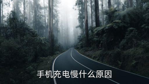 數(shù)據(jù)線 充電慢 電流小,手機(jī)充電快慢取決于數(shù)據(jù)線和充電頭