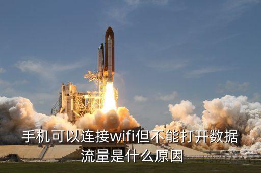 手機(jī)可以連接wifi但不能打開數(shù)據(jù) 流量是什么原因