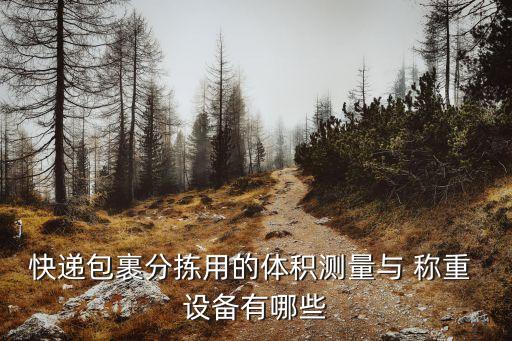 快遞包裹分揀用的體積測量與 稱重 設備有哪些
