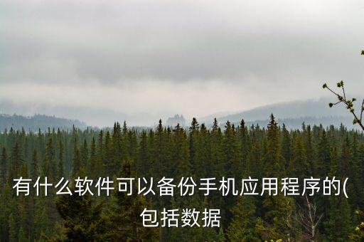 有什么軟件可以備份手機應(yīng)用程序的(包括數(shù)據(jù)