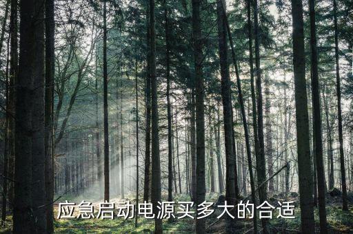 應(yīng)急電源,汽車應(yīng)急電源怎么選擇?
