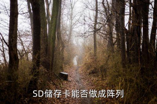 tf毀滅數(shù)據(jù),行車記錄儀tf卡出錯怎么恢復(fù)?