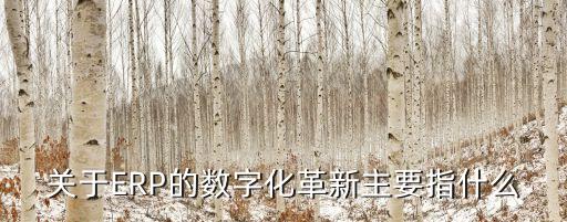 erp與大數(shù)據(jù),沒(méi)有大數(shù)據(jù)erp會(huì)發(fā)展成什么樣?