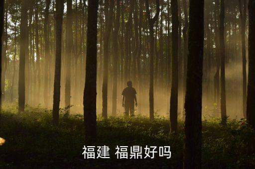 福建 福鼎好嗎