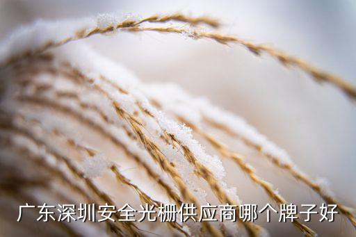 帶光柵的自動(dòng)化設(shè)備,廣東深圳安全光柵供應(yīng)商哪個(gè)牌子好