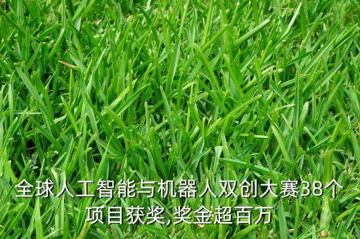 全球人工智能與機(jī)器人雙創(chuàng)大賽38個(gè)項(xiàng)目獲獎(jiǎng),獎(jiǎng)金超百萬