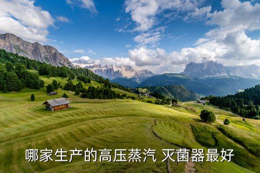 哪家生產的高壓蒸汽 滅菌器最好