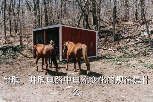 串聯(lián)電路電流規(guī)律,串聯(lián)電路電流規(guī)律如何?