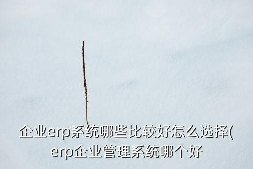 企業(yè)erp系統(tǒng)哪些比較好怎么選擇(erp企業(yè)管理系統(tǒng)哪個好