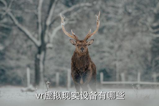  vr虛擬現(xiàn)實(shí)設(shè)備有哪些