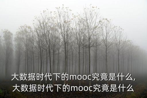 大數(shù)據(jù)時代酷6視頻,什么是大數(shù)據(jù)?