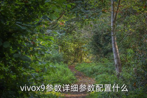 vivox9有運(yùn)動(dòng)數(shù)據(jù)么