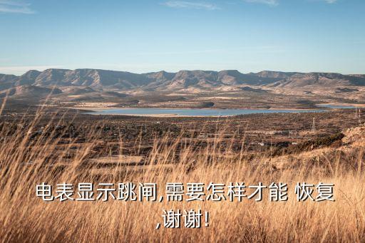  電表顯示跳閘,需要怎樣才能 恢復(fù),謝謝!
