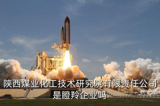 陜西煤業(yè)化工技術(shù)研究院有限責任公司是瞪羚企業(yè)嗎