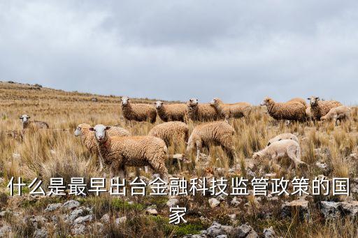 沙盒監(jiān)管,金融科技監(jiān)管沙箱:什么是沙盤監(jiān)管規(guī)定?