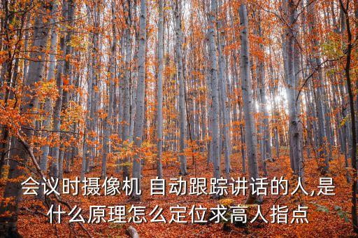 會(huì)議時(shí)攝像機(jī) 自動(dòng)跟蹤講話的人,是什么原理怎么定位求高人指點(diǎn)