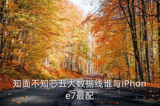知面不知芯五大數(shù)據(jù)線誰與iPhone7最配
