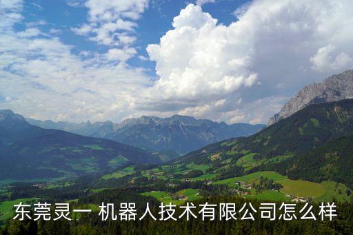 什么靈機(jī)器人,思靈機(jī)器人股票
