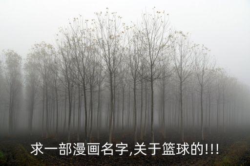 求一部漫畫名字,關(guān)于籃球的!!!