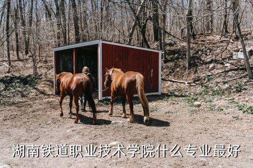 電氣自動化教師培訓(xùn)