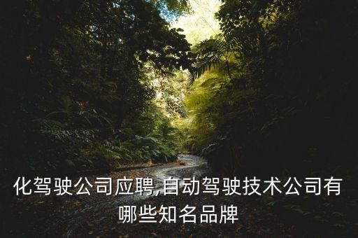 自動化駕駛公司應(yīng)聘,自動駕駛技術(shù)公司有哪些知名品牌?