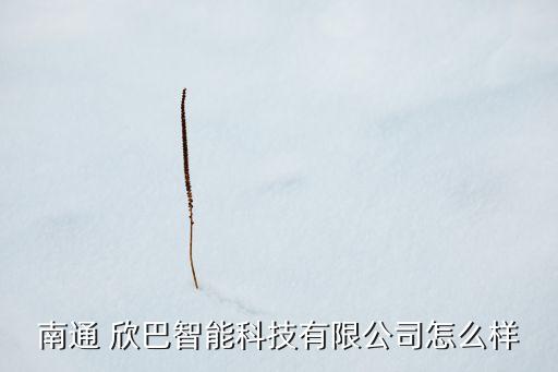 南通 欣巴智能科技有限公司怎么樣