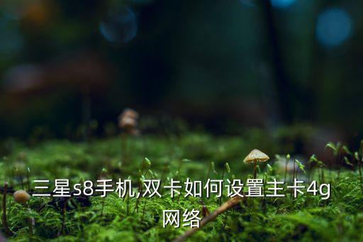 s8數(shù)據(jù)漫游,三星s8的蜂窩數(shù)據(jù)設(shè)置在哪里?