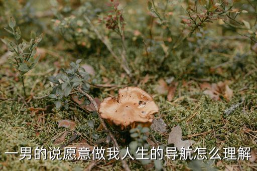 一男的說(shuō)愿意做我人生的導(dǎo)航怎么理解