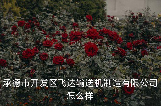 承德市開發(fā)區(qū)飛達(dá)輸送機(jī)制造有限公司怎么樣