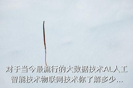 對于當(dāng)今最流行的大數(shù)據(jù)技術(shù)AL人工智能技術(shù)物聯(lián)網(wǎng)技術(shù)你了解多少...