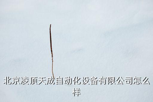 北京凌頂天成自動(dòng)化設(shè)備有限公司怎么樣