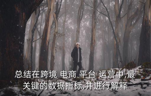 總結(jié)在跨境 電商 平臺 運營中,最關(guān)鍵的數(shù)據(jù)指標(biāo),并進行解釋