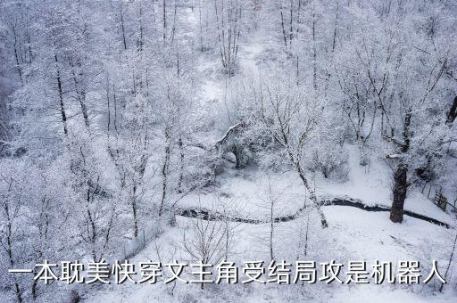 一本耽美快穿文主角受結(jié)局攻是機(jī)器人