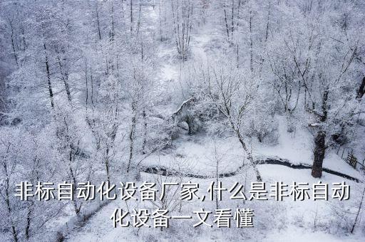 山東非標(biāo)自動(dòng)化設(shè)備廠家,什么是非標(biāo)自動(dòng)化設(shè)備?一文看懂