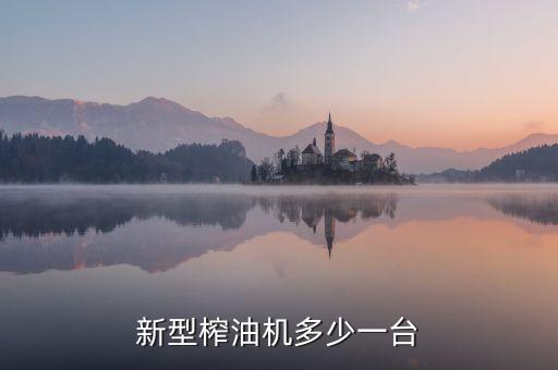 新型榨油機(jī)多少一臺