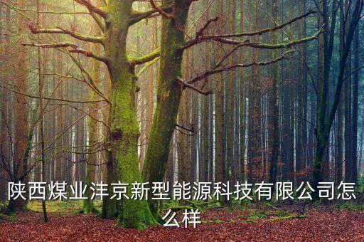 陜西煤礦自動化系統(tǒng)公司,陜西煤炭建設(shè)公司怎么樣?