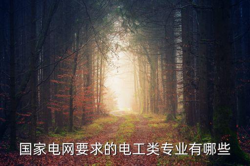 國(guó)家電網(wǎng)要求的電工類專業(yè)有哪些
