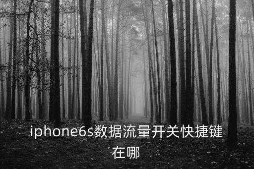 iphone6s數(shù)據(jù)流量開關(guān)快捷鍵在哪