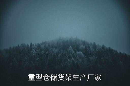 重型倉儲(chǔ)貨架生產(chǎn)廠家