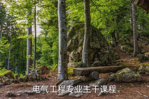 高壓電氣自動(dòng)化技術(shù)要求,電氣自動(dòng)化技術(shù)專(zhuān)業(yè)是干嘛?