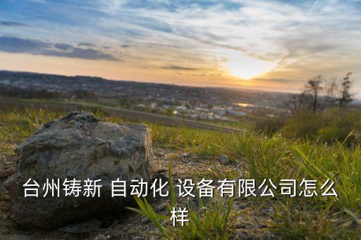 臺州鑄新 自動化 設備有限公司怎么樣