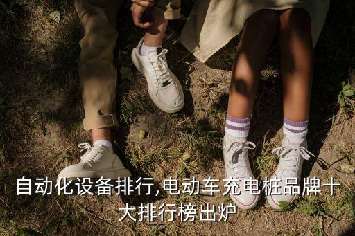 電池自動化設(shè)備排行,電動車充電樁品牌十大排行榜出爐