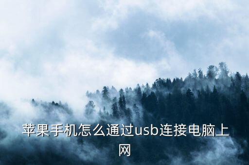 蘋果8再那設(shè)置數(shù)據(jù)線讀數(shù)據(jù),蘋果手機的usb數(shù)據(jù)線設(shè)置在哪里