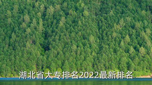 武漢自動化專業(yè)大學(xué)排行榜,軟科2023年大學(xué)排行榜最新自動化