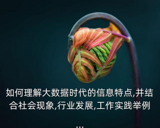 如何理解大數(shù)據(jù)時代的信息特點,并結(jié)合社會現(xiàn)象,行業(yè)發(fā)展,工作實踐舉例...