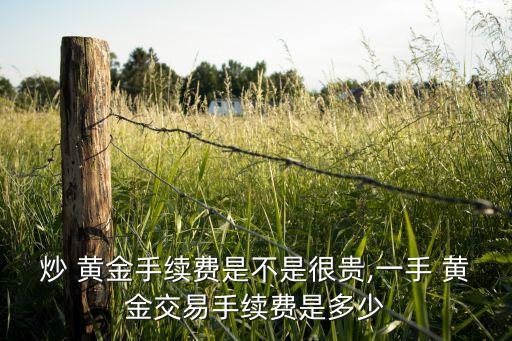 炒 黃金手續(xù)費是不是很貴,一手 黃金交易手續(xù)費是多少