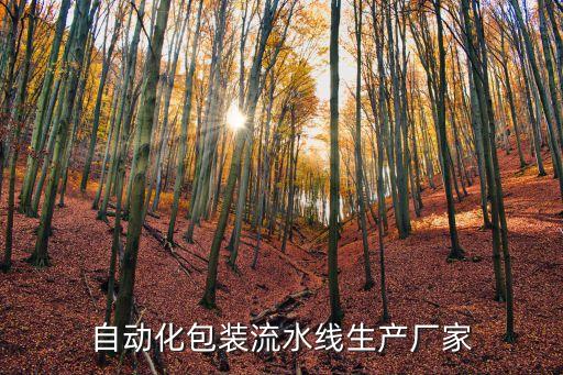 牛皮紙包裝自動化設(shè)備圖片,自動化設(shè)備包括哪些?